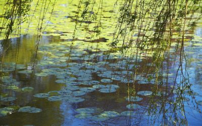 Into the Mysticism of Silence
